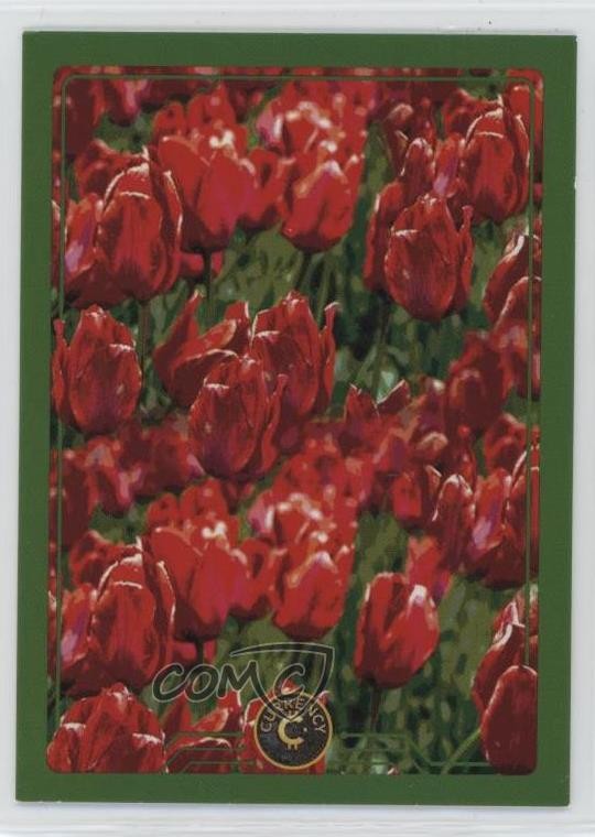 2022 Cardsmiths Valuta Tulipani #25 0rm6
