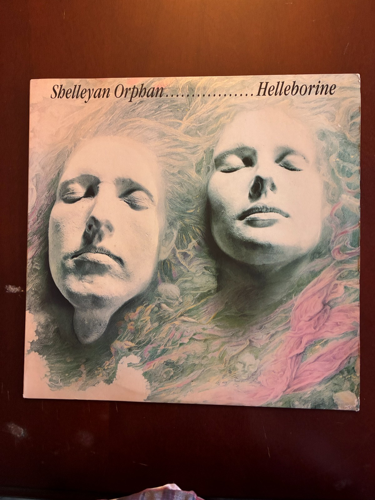 LP Shelleyan Orphan - Helleborine (1987) Columbia #BFC 40545  l14