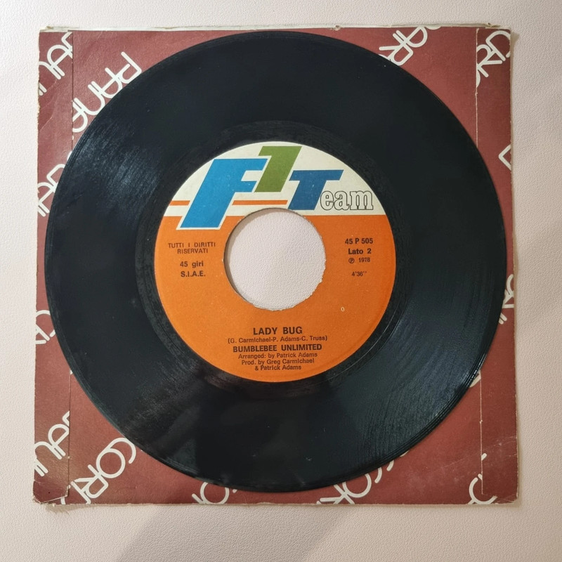 45 giri Bumbledee Unlimited - Lady Bug vinile