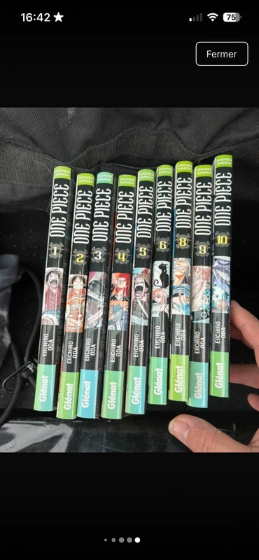 Livres manga one pièce