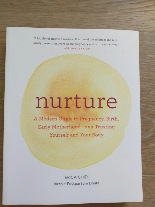 Beautiful book about pregnancy, labor and postpartum
