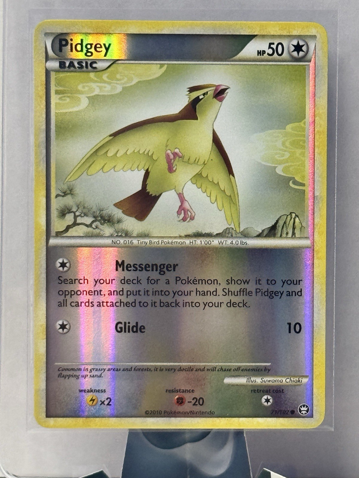 Pidgey 71/102 Reverse Holo Pokemon Trionfante quasi nuovo