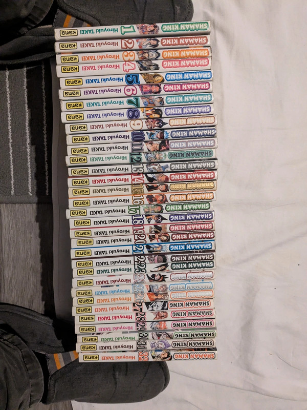 Integral Shaman king