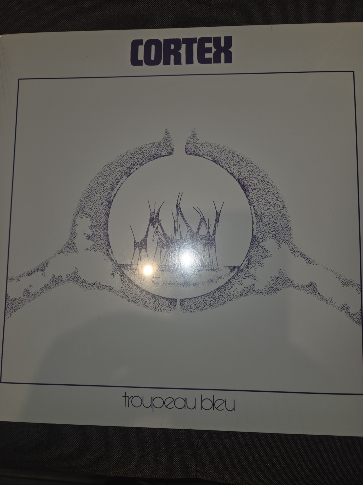 Cortex Troupeau Bleu Trad Vibe 2013 Reissue LP French Jazz Funk Sealed