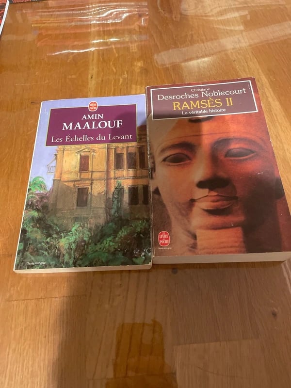 Lot de 2 livres