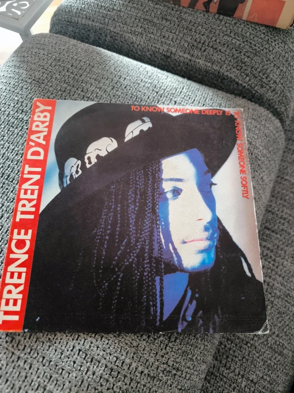 Single Terence Trent d'arby