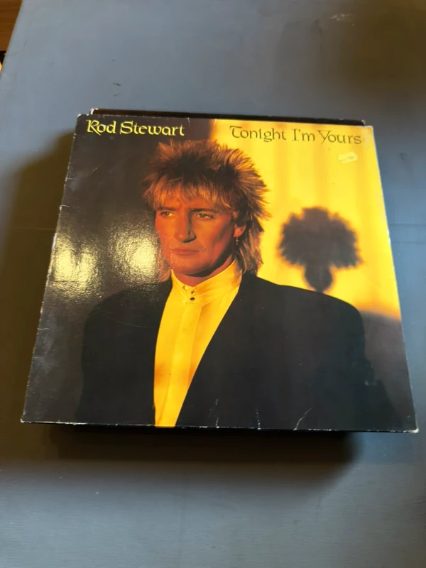 Rod Stewart Lp Vinyl Schallplatte