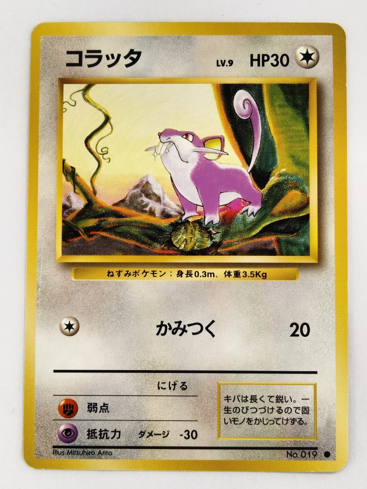 【RANK B】 Rattata n.019 Set Base Carta Pokemon Giapponese (T0332)