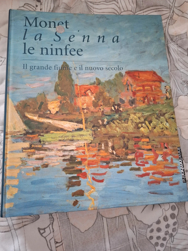Monet la Senna le ninfee