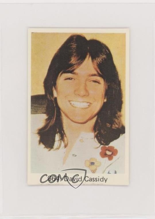 Samlarsaker svedese 1978 Popbilder periodo dopo numero David Cassidy #664 12mo