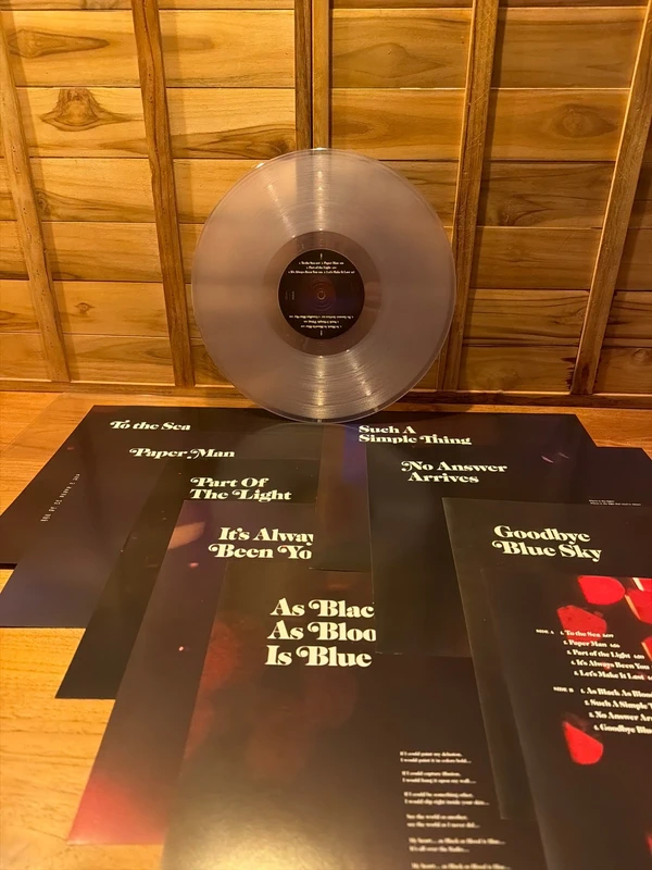 Ray LaMontagne – Part of the Light | Transparant vinyl LP (2018)