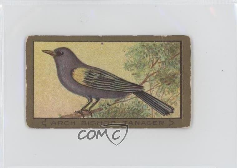 1910 ATC Bird Serie T42 Dolce Arco Caporale Vescovo Tanager z6d
