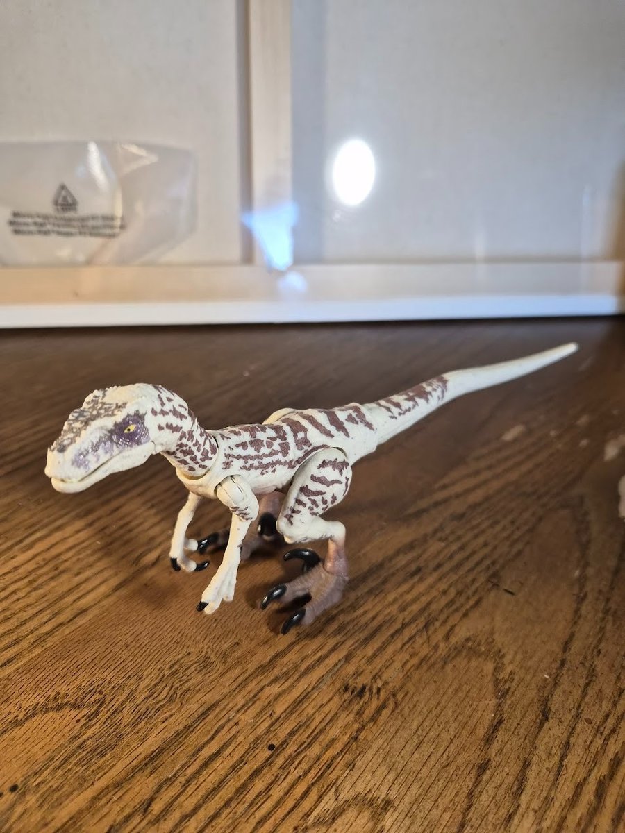 Dinosauro bianco VELOCIRAPTOR Jurassic World Park 30° JP3 RARO collezione Hammond