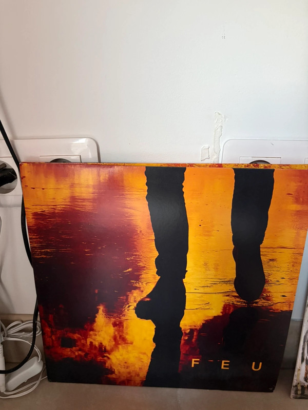 vinyle nekfeu