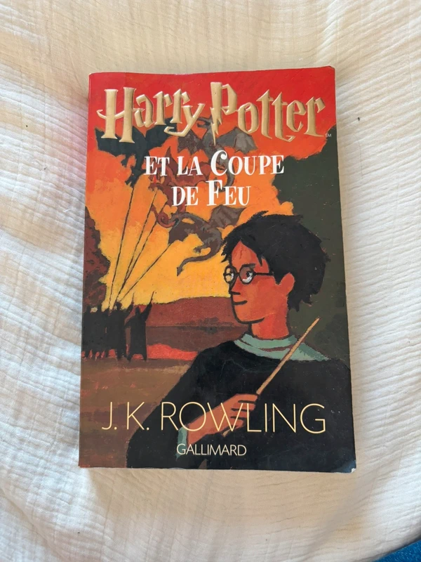 Harry Potter et la Coupe de Feu Édition originale FR 2000