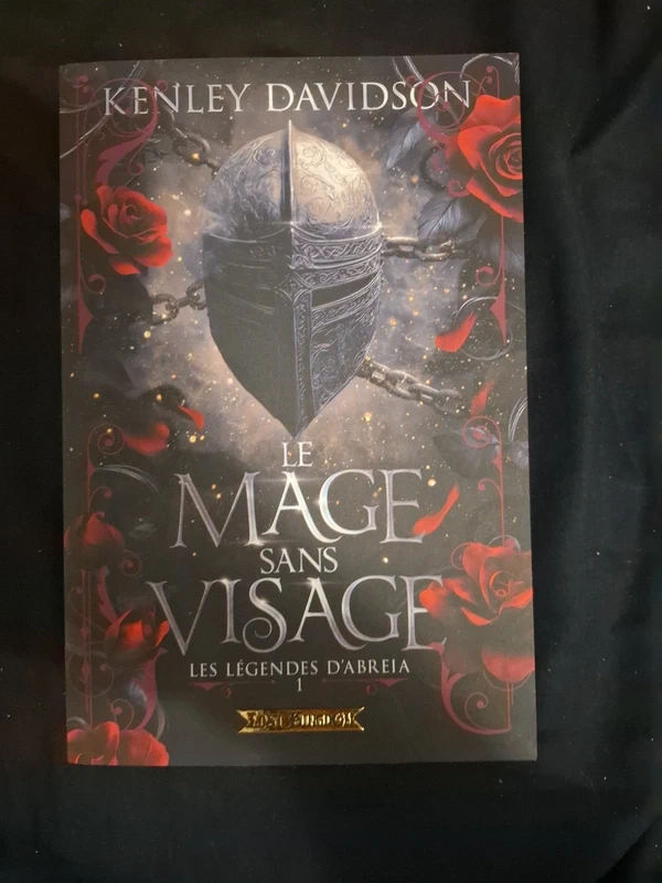 Roman Le mage sans visage