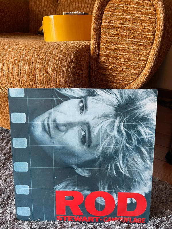 LP -Rod Stewart-Camouflage