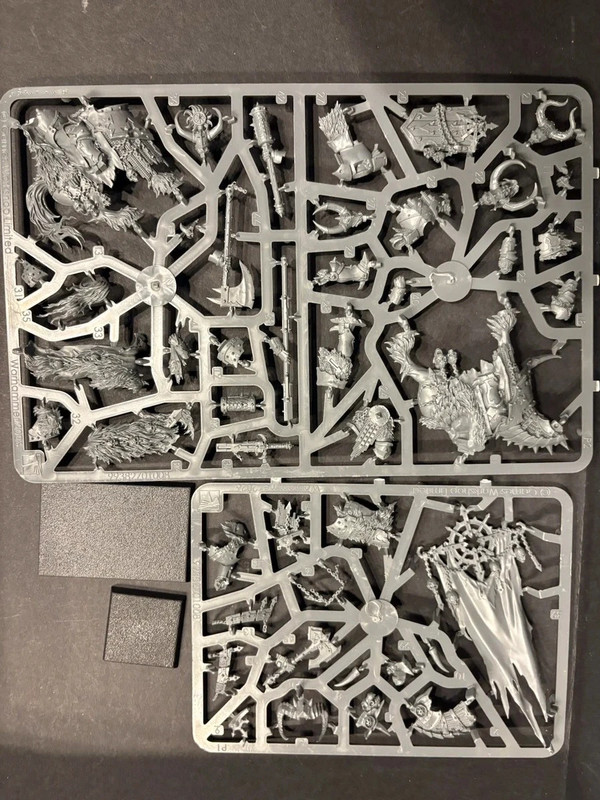 🚨 2 Aspiring Champion Warhammer old World.