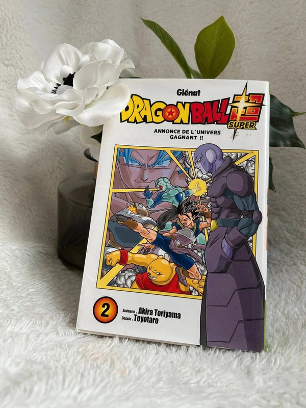 livre dragonballz