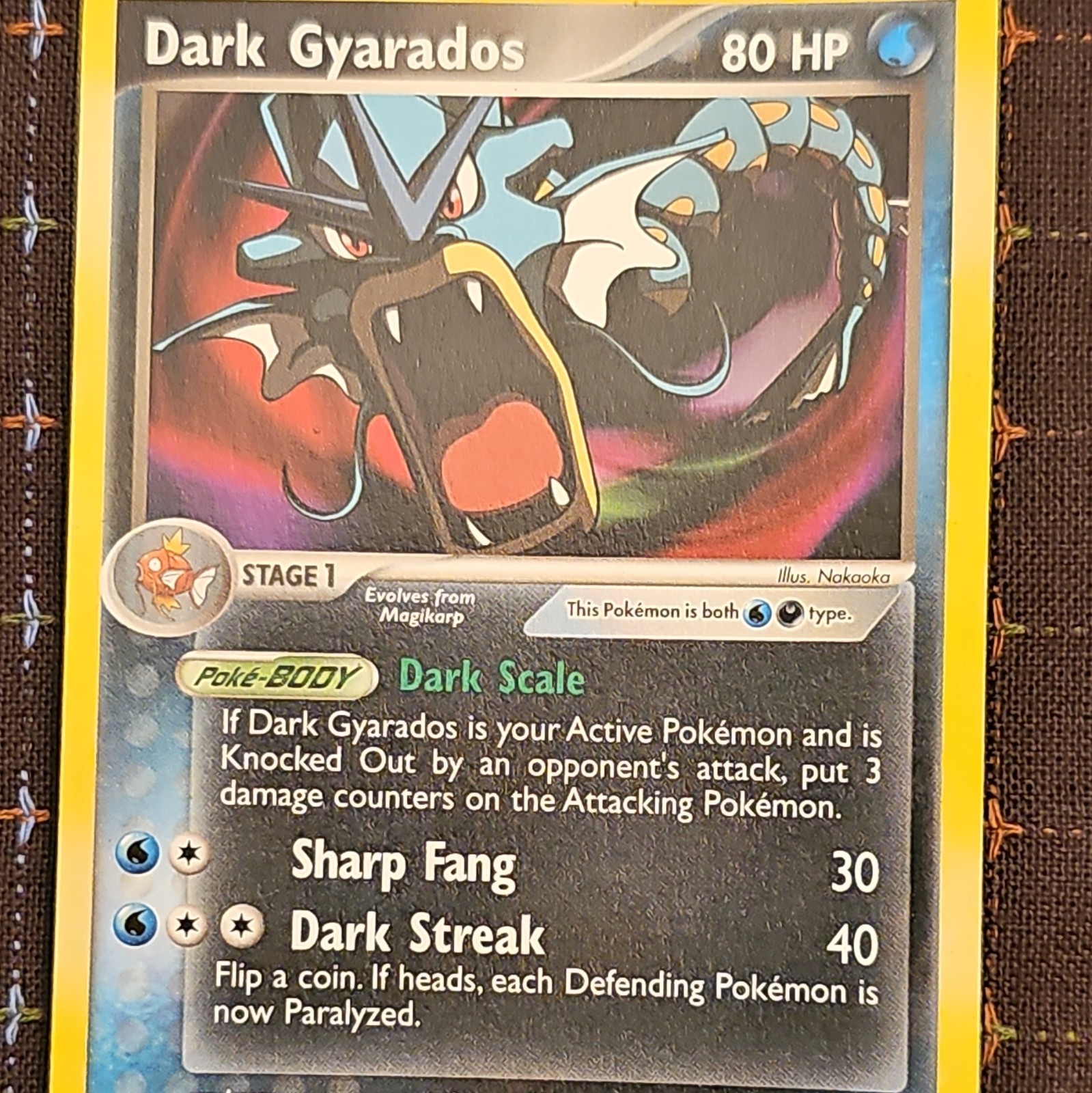Nintendo Pokémon Dark Gyarados 36/109 80 PV Fase 1 Inglese Acqua 2004