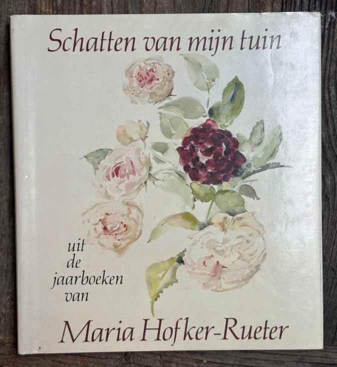 Schatten van mijn tuin