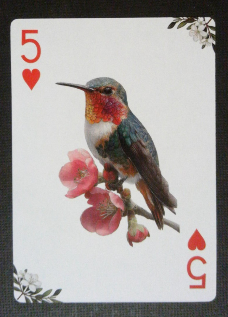 Bird Themed Playing Card Playing Card Hummingbird 5 Hearts