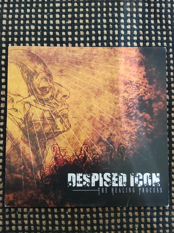 Vinyle despised icon the healing process