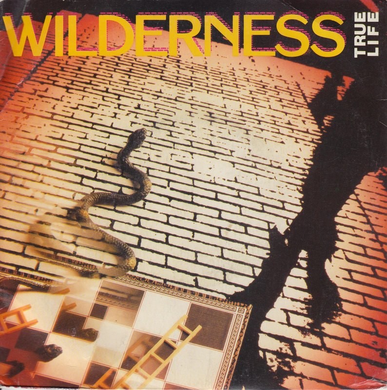 Wilderness – True Life (UK) ++ used ++