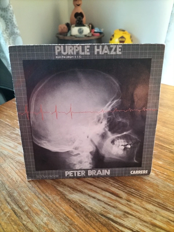 Vinyle purple haze