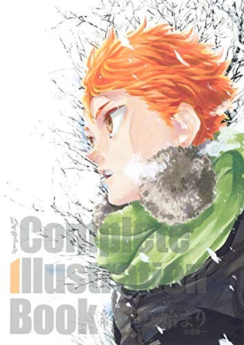 (Usato) Haikyu!! Libro completo illustrazione artistica HARUICHI "Fine di un... modulo libro JP