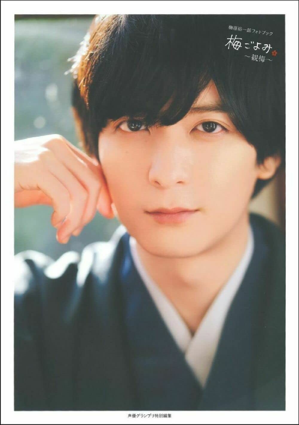 Libro fotografico Yuichiro Umehara Ume Goyomi ~Kanume Ume forma libro JP