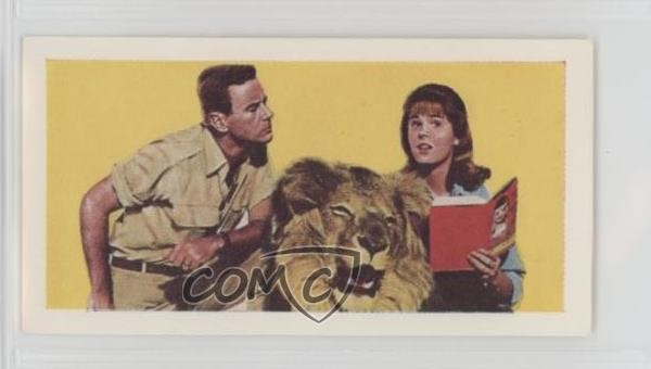 1968 Cadet Sweets Daktari Clarence il Leone #1 0kb5