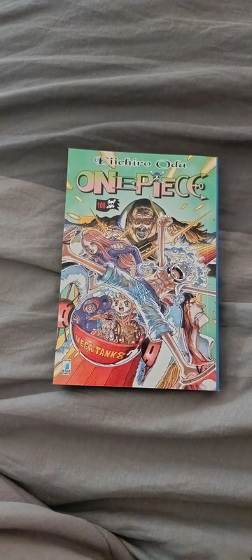 One Piece libro
