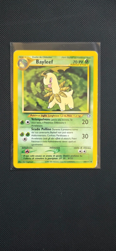 Carta Pokémon Bayleef 28/111