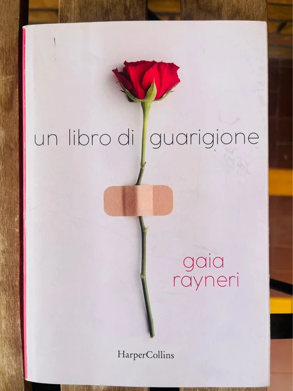 Un libro di guarigione - Gaia Rayneri (HarperCollins)