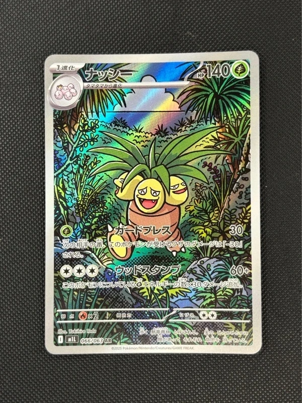 Noadkoko AR 066/063 m1L