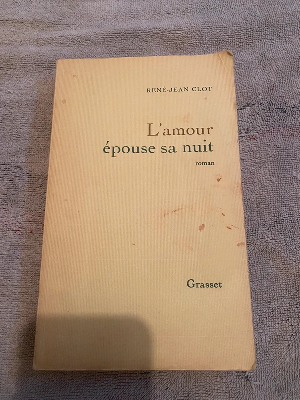 Livre l’amour épouse sa nuit