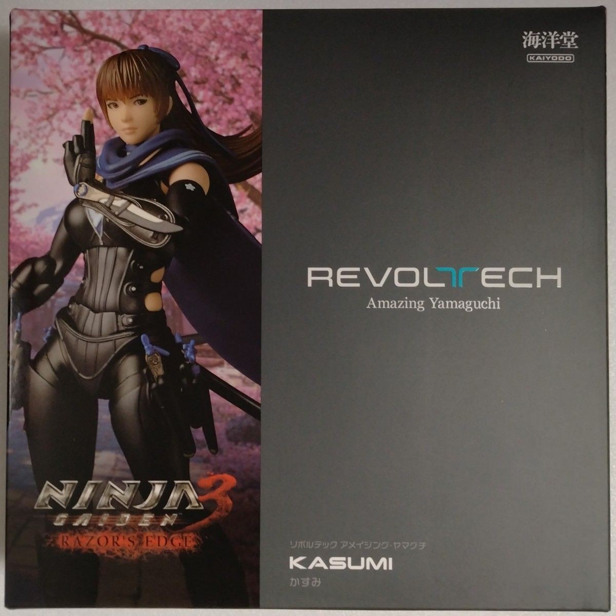 Revoltech Amazing Yamaguchi NINJA GAIDEN 3 Razor's Edge Figurine Kasumi 150mm