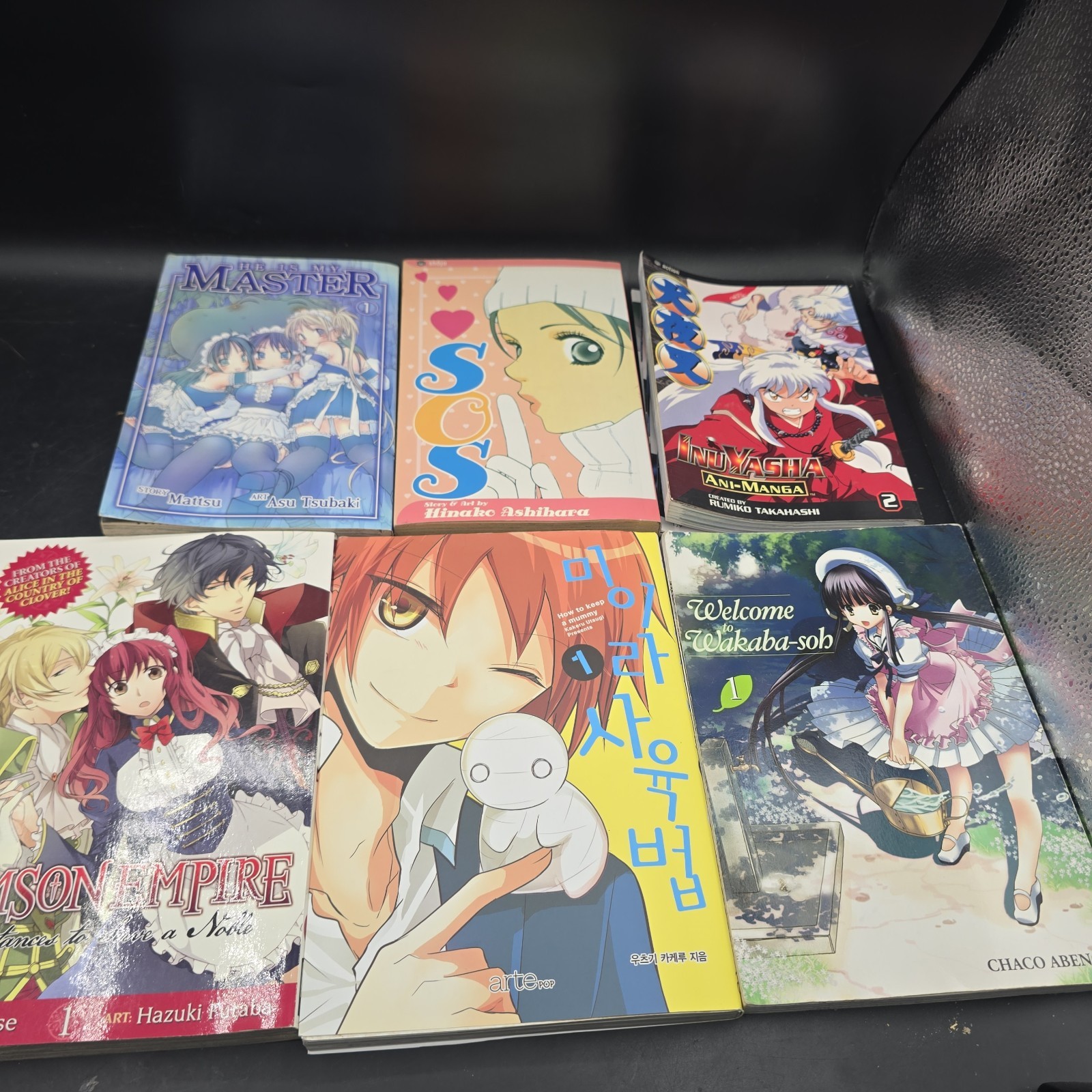 Manga lotto di 6