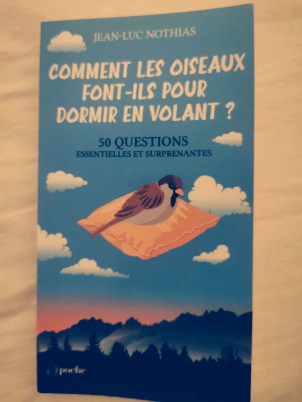 Comment les oiseaux font-ils pour dormir en volant