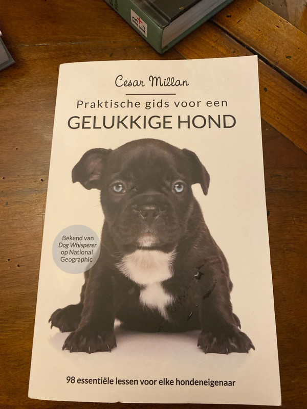 Praktische gids voor een gelukkige hond – Cesar Millan