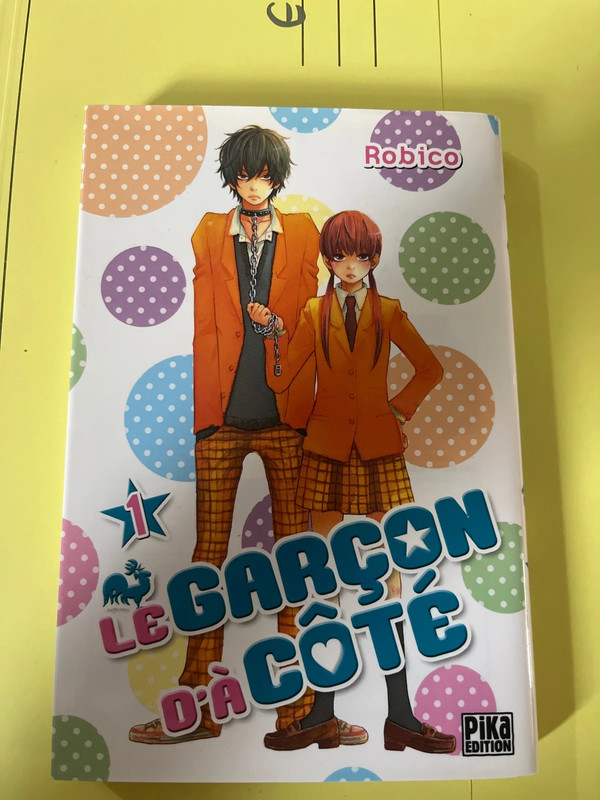Livre Le garçon d’à côté