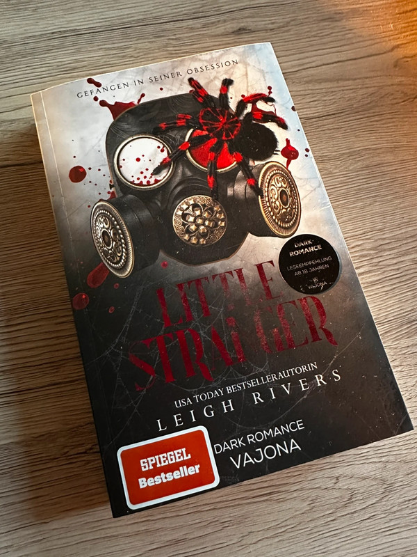 Little Stranger - Leigh Rivers