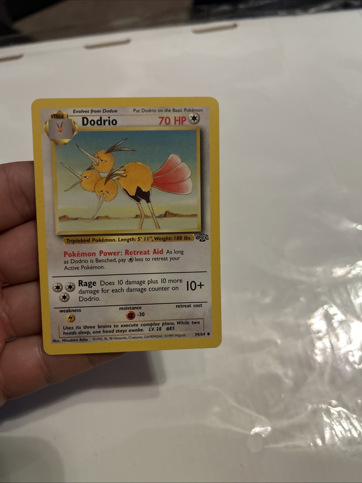 Dodrio 34/64 Jungle Regular
