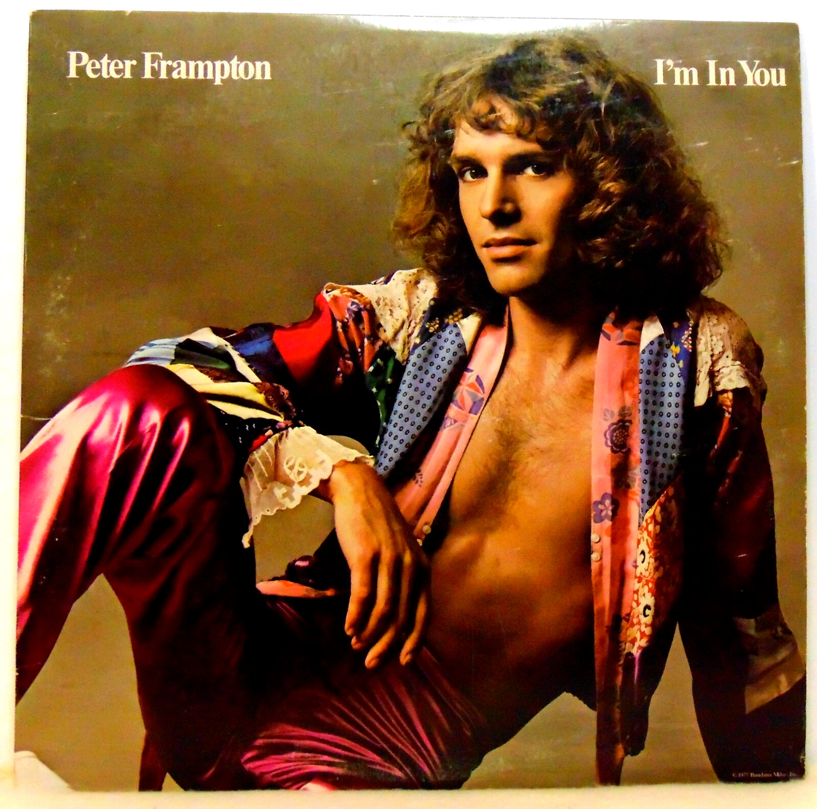Peter Frampton – I'm In You - 1977 A&M  Classic Rock Vinyl LP Record - STERLING