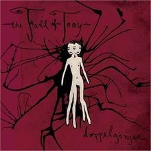 Doppelganger von Fall of Troy,the | CD | Zustand sehr gut