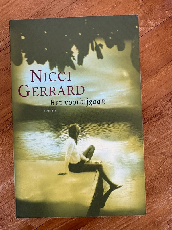 Het voorbijgaan - Nicci Gerrard (roman)