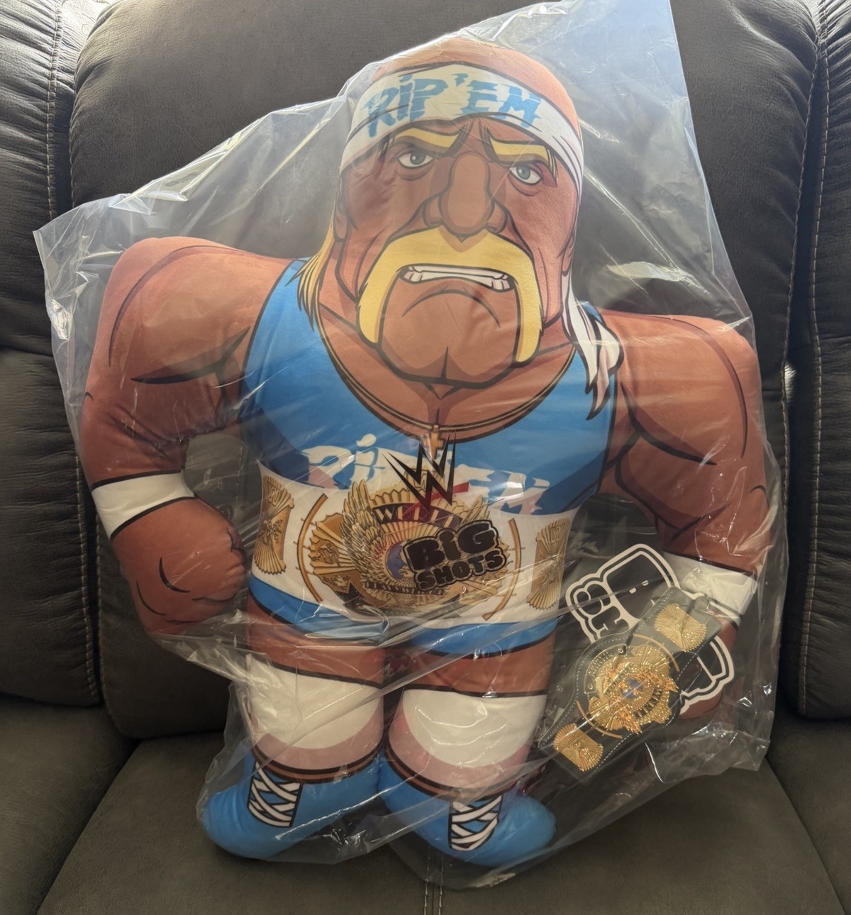 Big Shots WWE Hulk Hogan Winged Eagle CHASE ULTRA RARO ***1 di 8 22 pollici