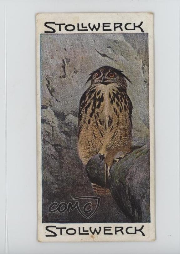 1900 Stollwerck Cioccolatini Règne Cibo per Animali Edizione Francese Le Grand-Duc #2-6 15ia