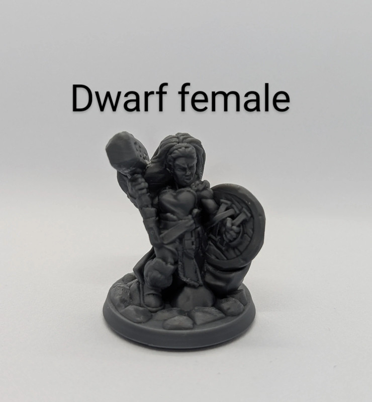 Miniatura Dungeons and dragons DnD Dwarf female